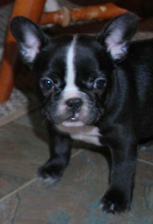 8 weeks old!
