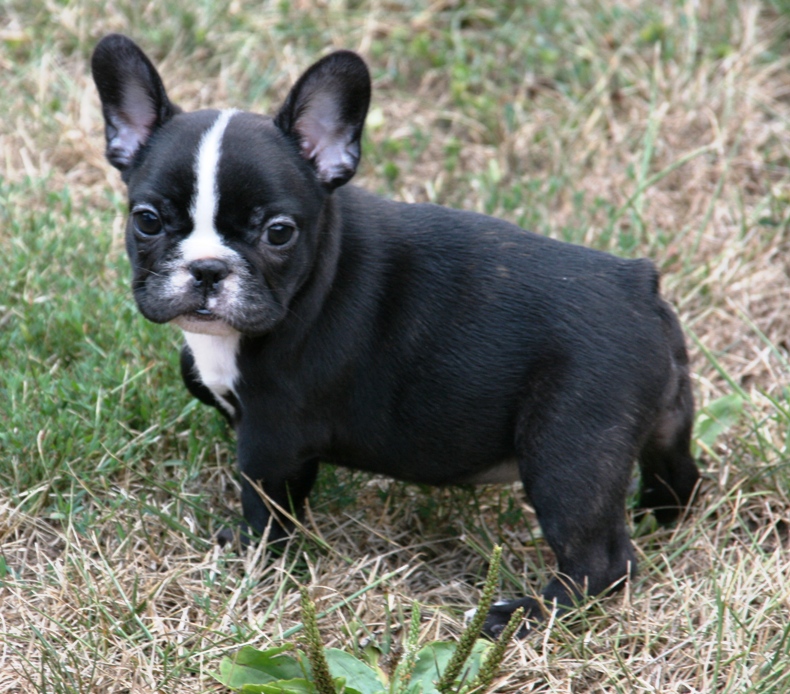 8 weeks old!