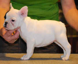 8 weeks old!