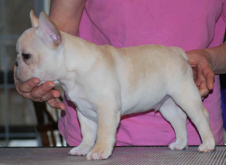 Playa-11wks