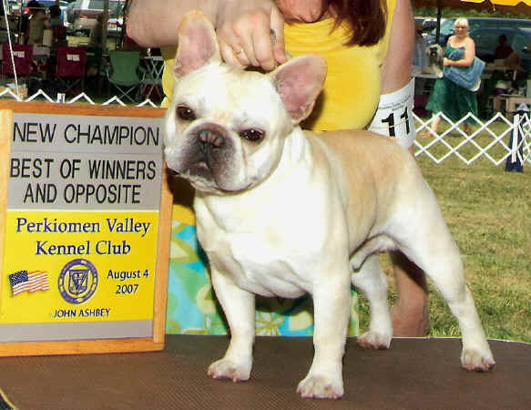 AXL - New Champion!!!!