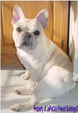 Axl at Almost 9 months