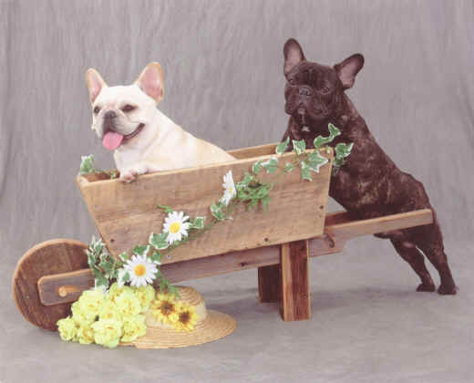 Chrystal and her brother, Sam