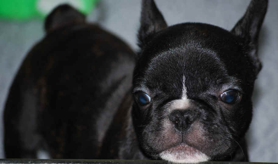 9 weeks