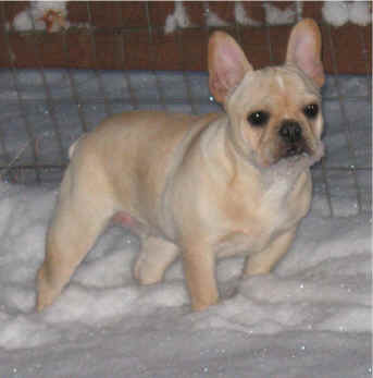 CORINA NOW 6 MONTHS OLD