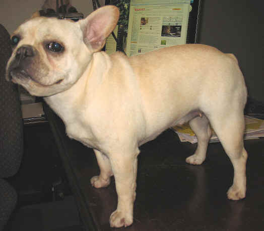 OK...you caught me surfin, again!