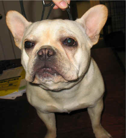 ACK! I Can't Breathe...unhand me!