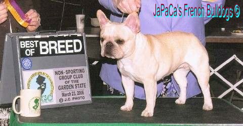 Crystal's first Breed win!!!!!!