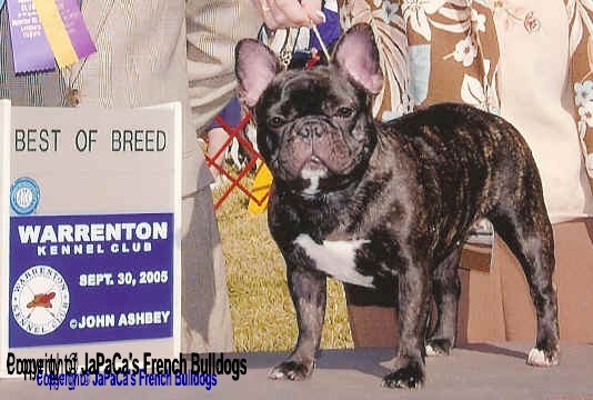 Dee Dee's 1st BOB at 9 Months!!!!