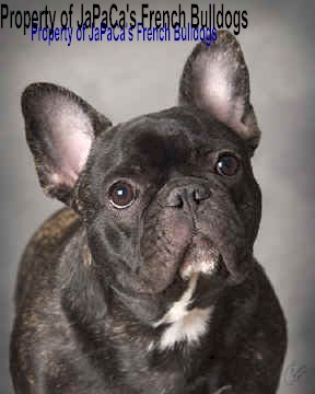 Miss DeeDee at 7 Months!