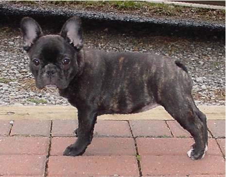 Dee Dee at 3 Months!!!!