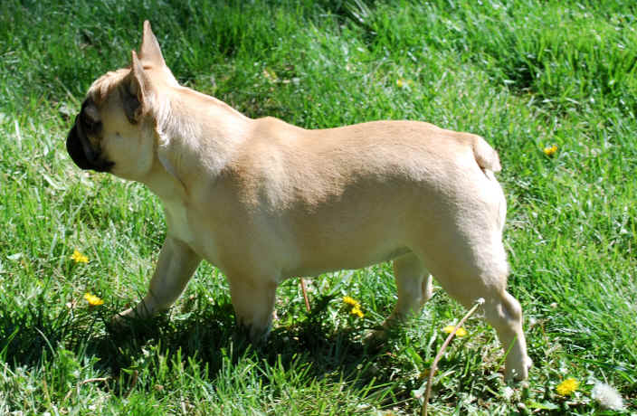 Ethel at 8 1/2 months of age