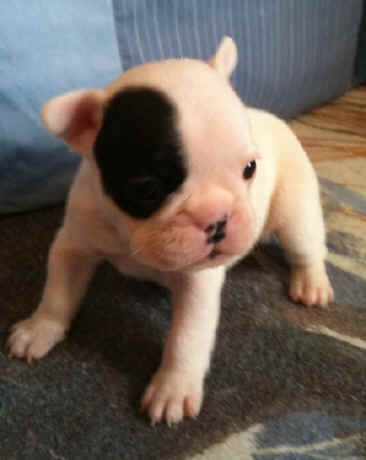 4 weeks