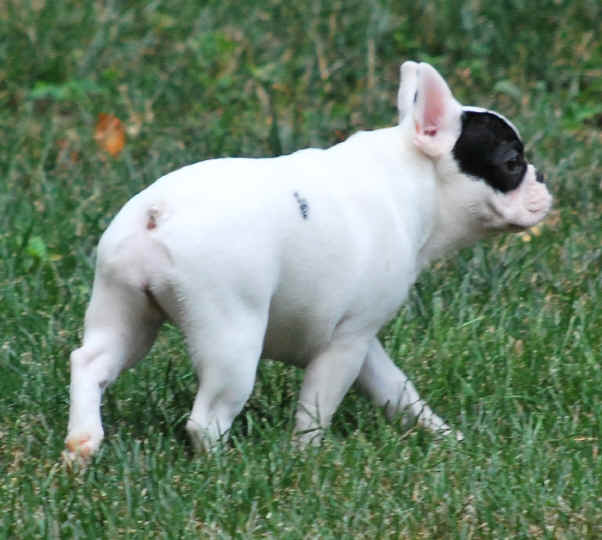 16 weeks