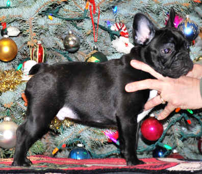 14 weeks