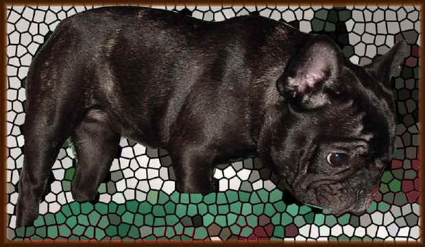 Bubbles at 16 months