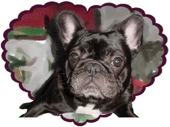 Jip-C - Bubble at 16 months!