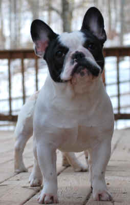 Mila 6 1/2 months