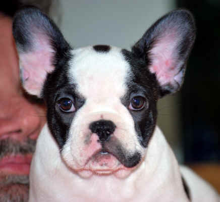 9 weeks