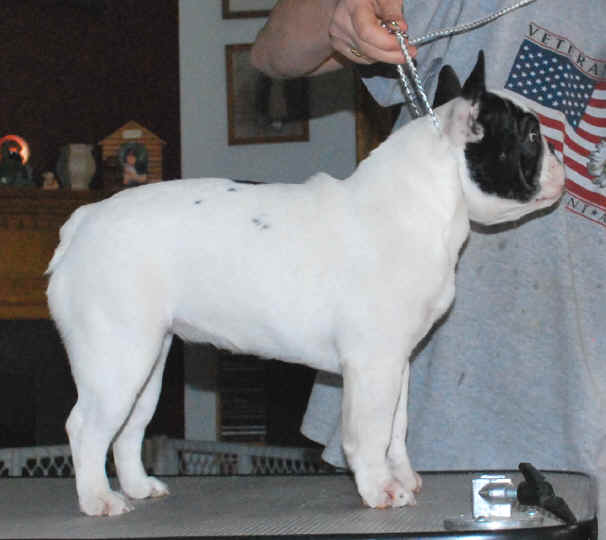 Mila 6 1/2 months
