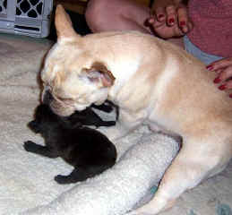 Loving Mom & Her Boys!