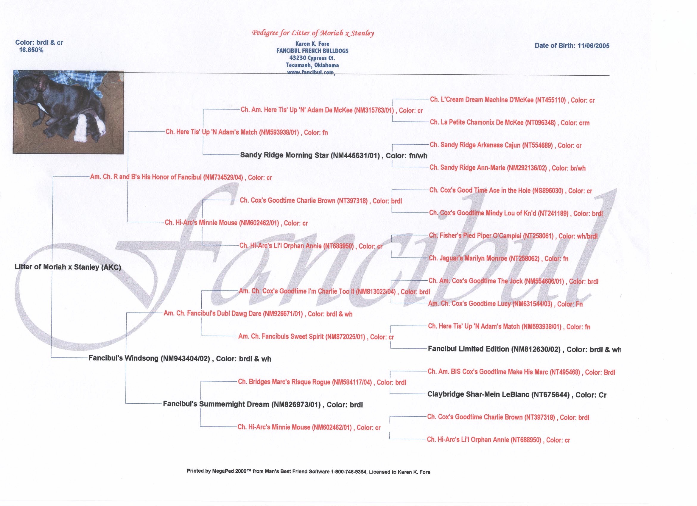 Axl's Pedigree