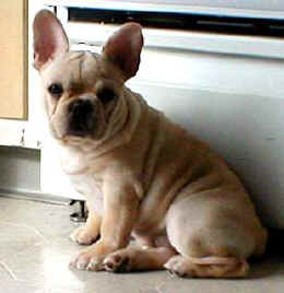 Crystal and Ozzie, 12-2004