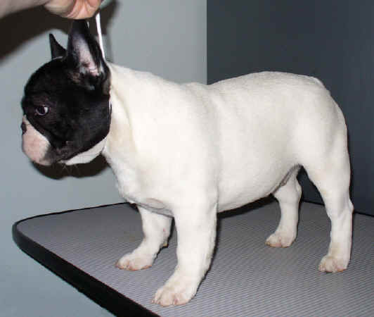 Stash - Don't Hate Cause I'm Beautiful!!!