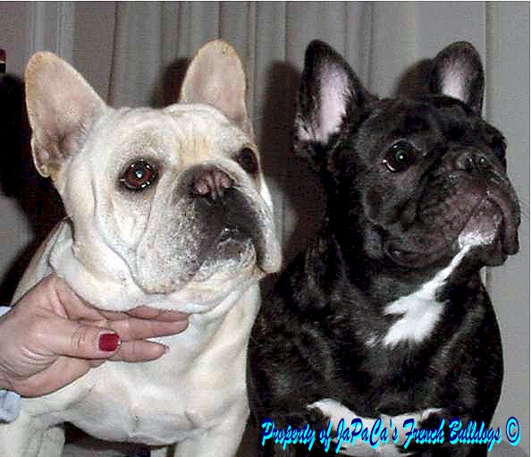 Ozzy & Dee, 3-25-2006