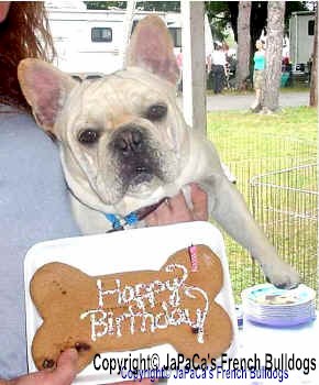 Ozzy on his birthday!!!