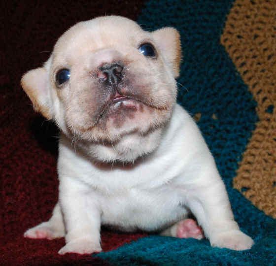 Gimme a smooch!!! "Playa"