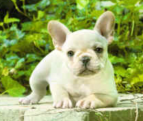 Photography compliments of Dwight Dyke (Blackhawk Productions)