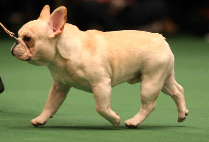 Wheeeeeeeeeeeeeeeeeeee!