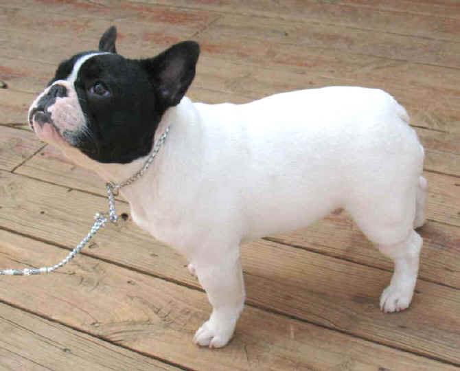 Stash looking outstanding at 6 months!!!