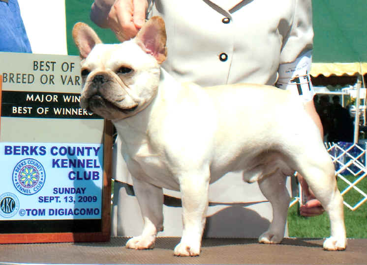 Tazer went Breed over specials!!!!