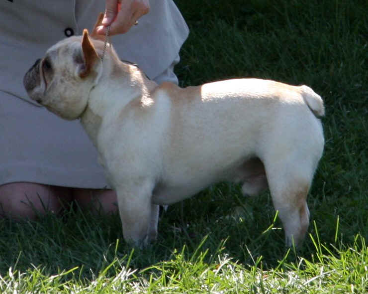 BOB over Specials!!!! Thank you for this picture Lesa & Jon!!!