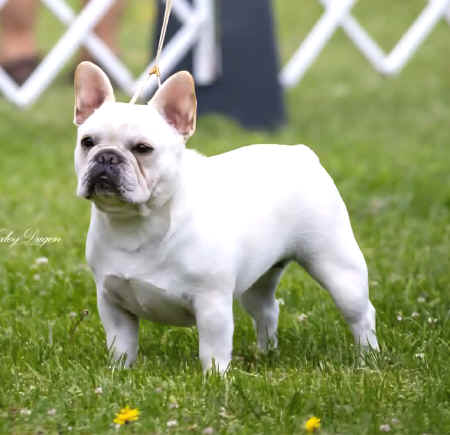Venus-13mths