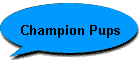 Champion Pups