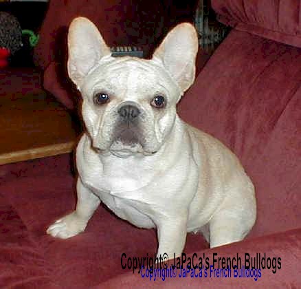 Is that cookie for me???